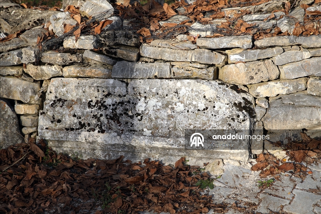 Рельефные камни из храма римской эпохи украшают старые постройки в турецком селении