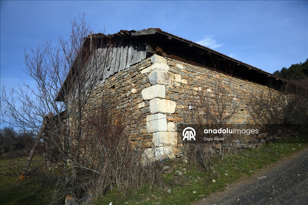 Рельефные камни из храма римской эпохи украшают старые постройки в турецком селении