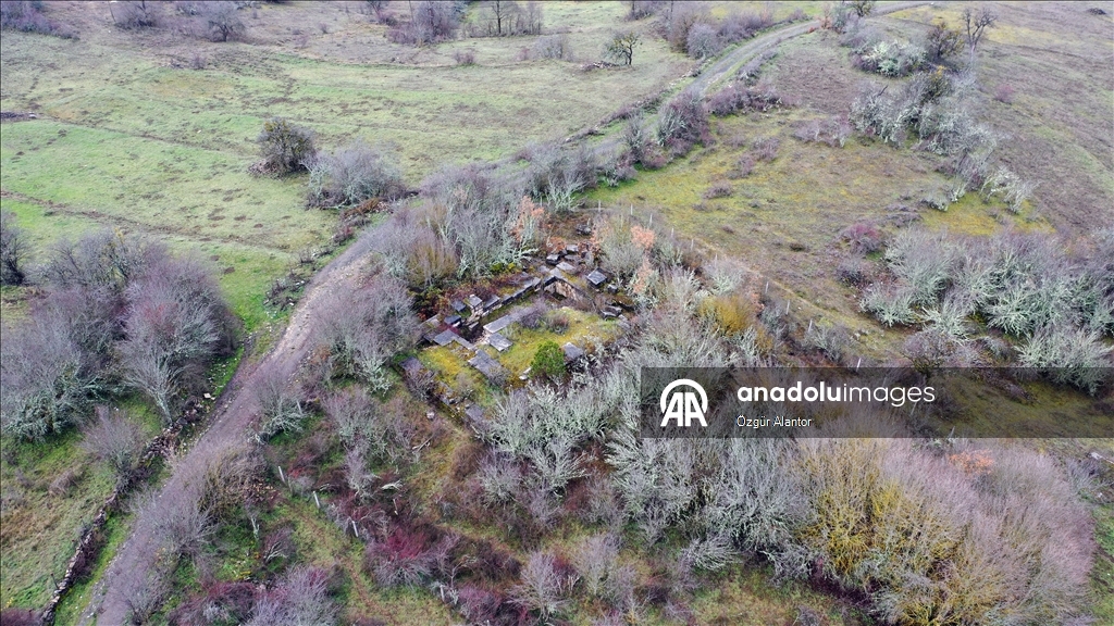 Рельефные камни из храма римской эпохи украшают старые постройки в турецком селении