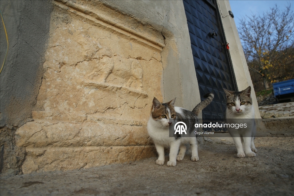Рельефные камни из храма римской эпохи украшают старые постройки в турецком селении