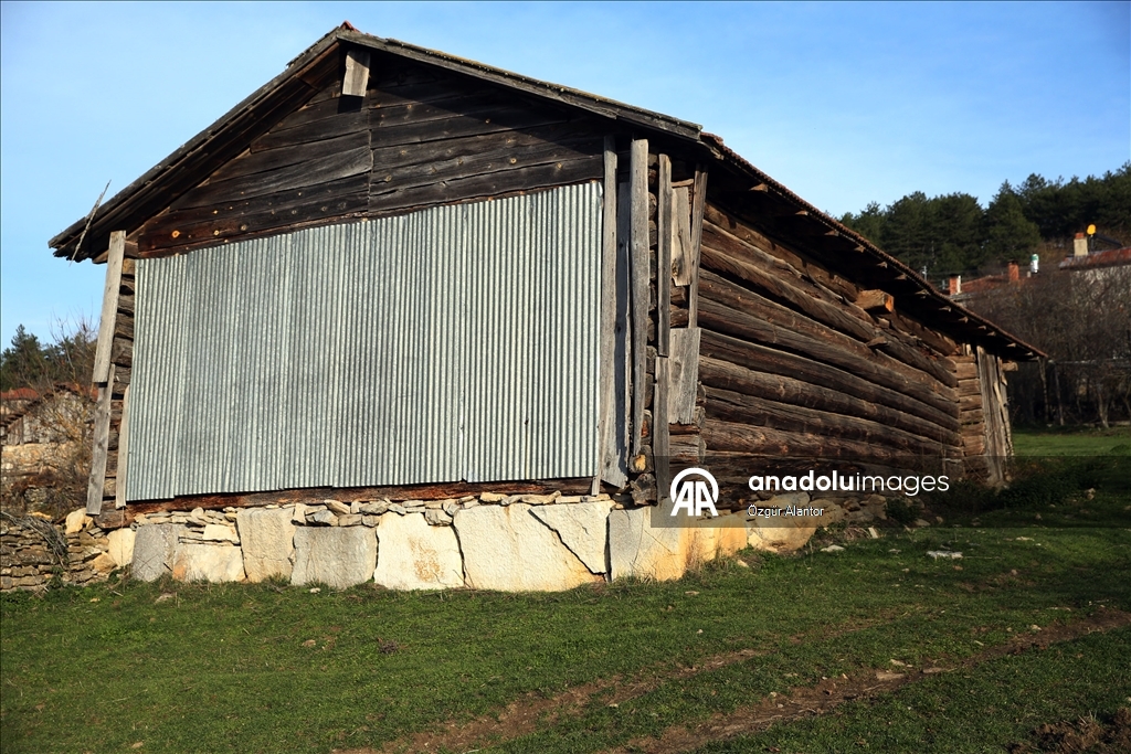 Рельефные камни из храма римской эпохи украшают старые постройки в турецком селении