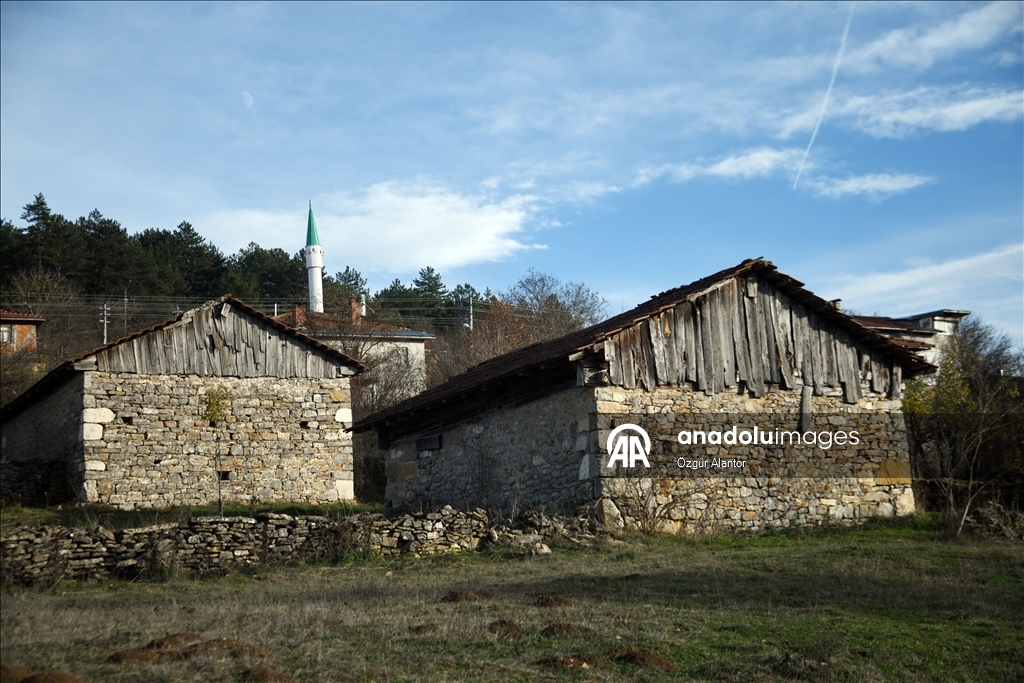 Рельефные камни из храма римской эпохи украшают старые постройки в турецком селении
