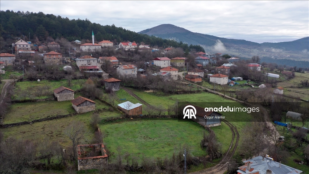 Рельефные камни из храма римской эпохи украшают старые постройки в турецком селении