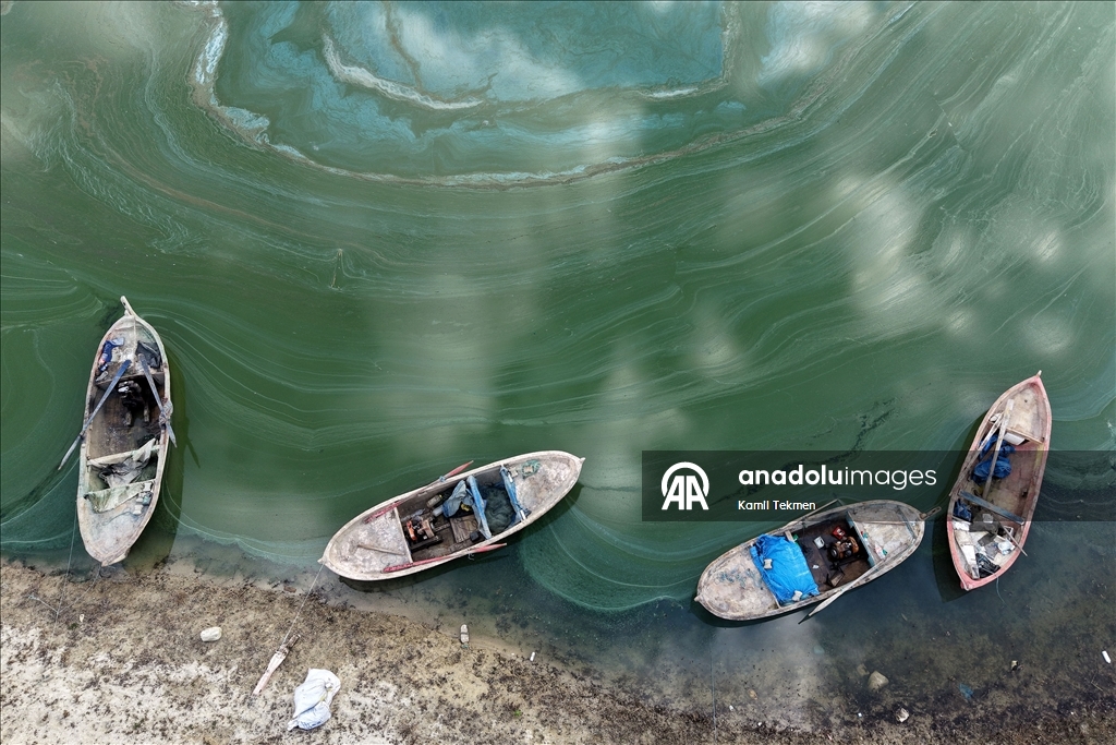 Algae spread across Demirkopru Dam as water levels decline in Turkiye's Manisa