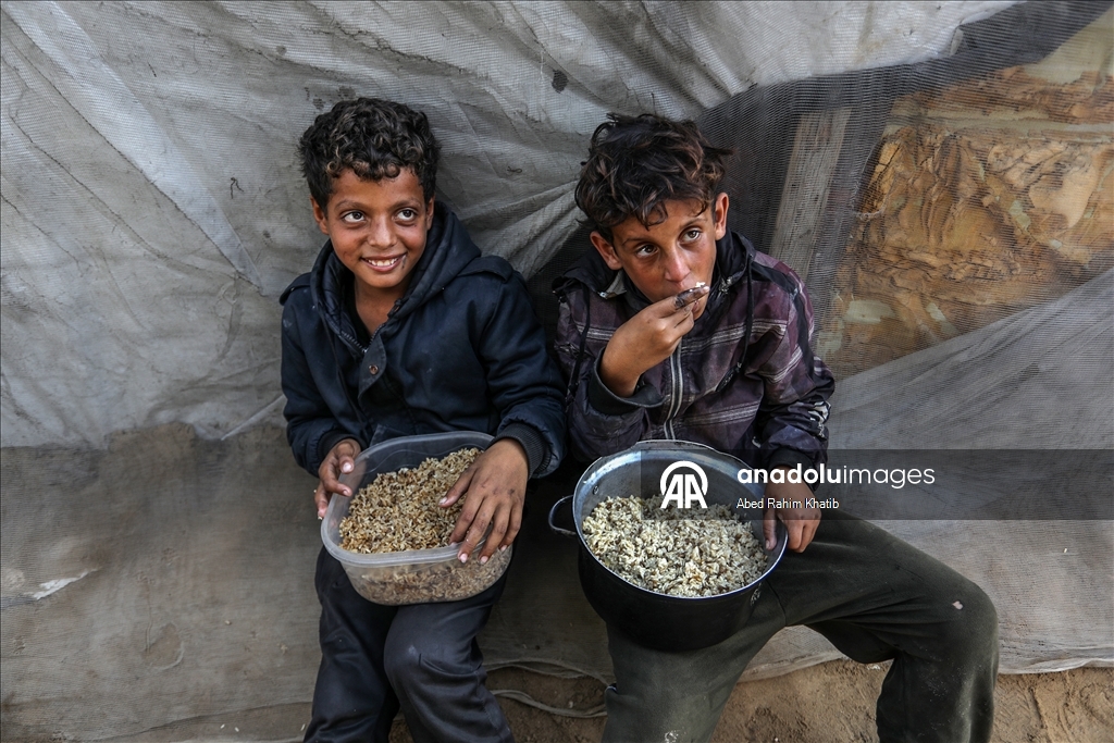 В Газе организована раздача горячей пищи для перемещенных лиц