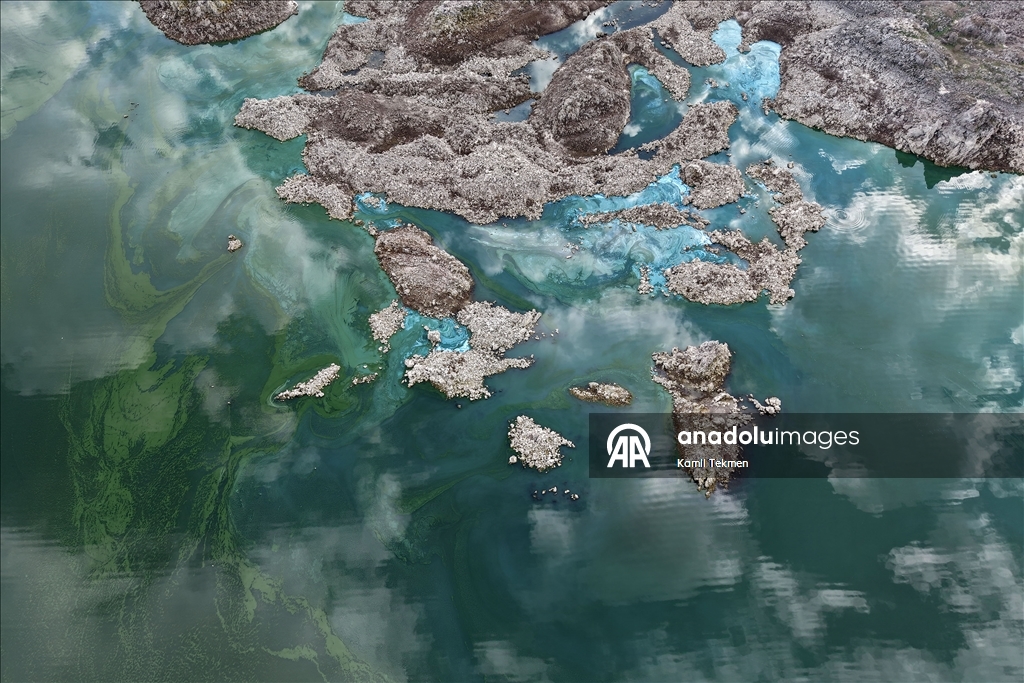 Algae spread across Demirkopru Dam as water levels decline in Turkiye's Manisa