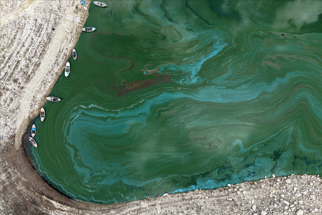 Algae spread across Demirkopru Dam as water levels decline in Turkiye's Manisa