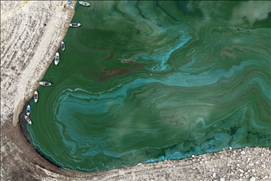 Algae spread across Demirkopru Dam as water levels decline in Turkiye's Manisa