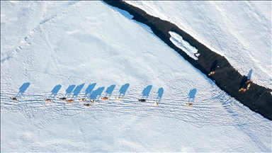 Kars'ta köylerden geçen menderesler besicilere can suyu oluyor