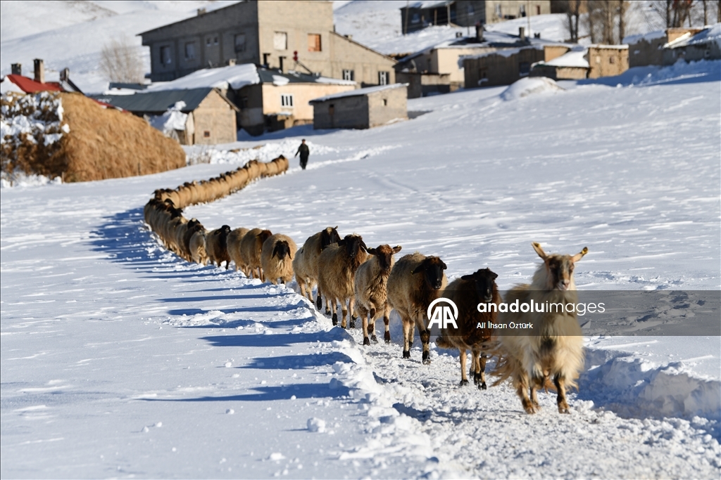 Van’ın Çatak ilçesinde kış yaşamı zorlaştırıyor