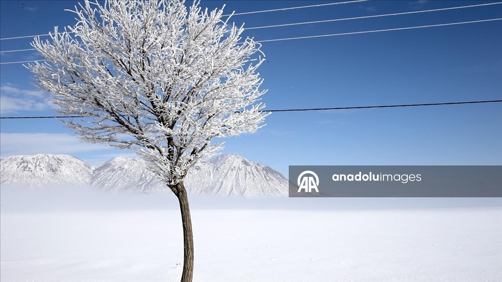 В многих регионах Турции наблюдается снег и холодная погода