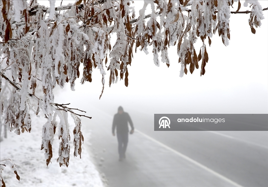 В многих регионах Турции наблюдается снег и холодная погода 13