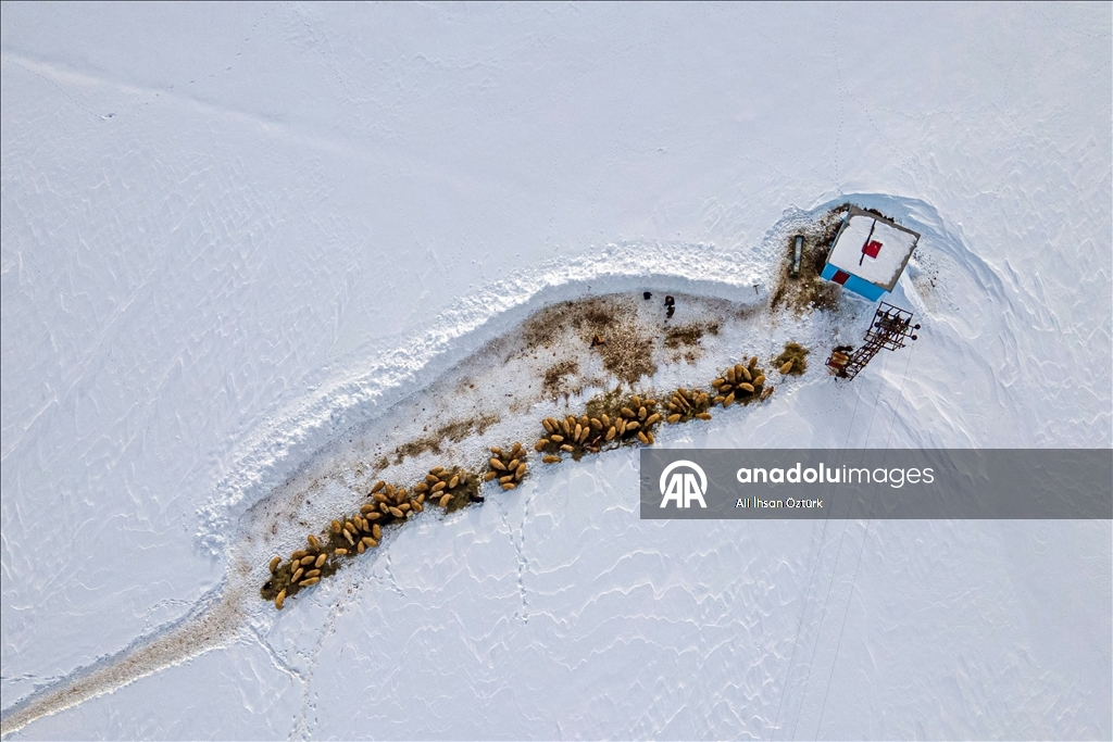 Van’ın Çatak ilçesinde kış yaşamı zorlaştırıyor