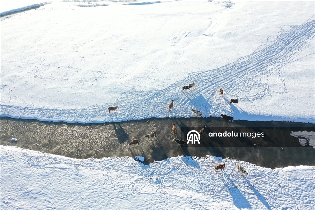В многих регионах Турции наблюдается снег и холодная погода 5