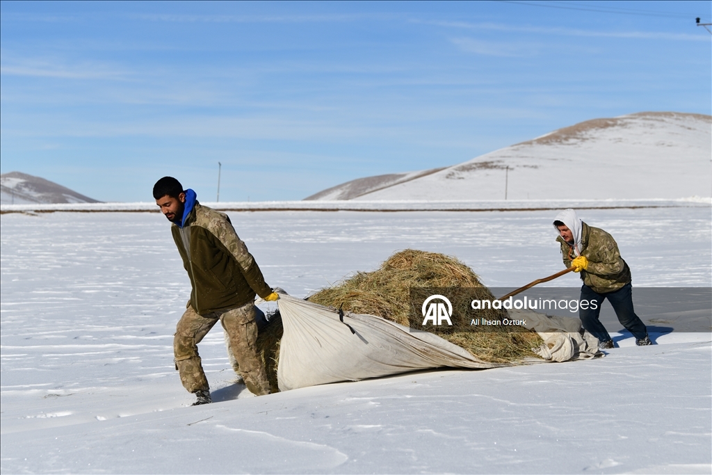 Van’ın Çatak ilçesinde kış yaşamı zorlaştırıyor