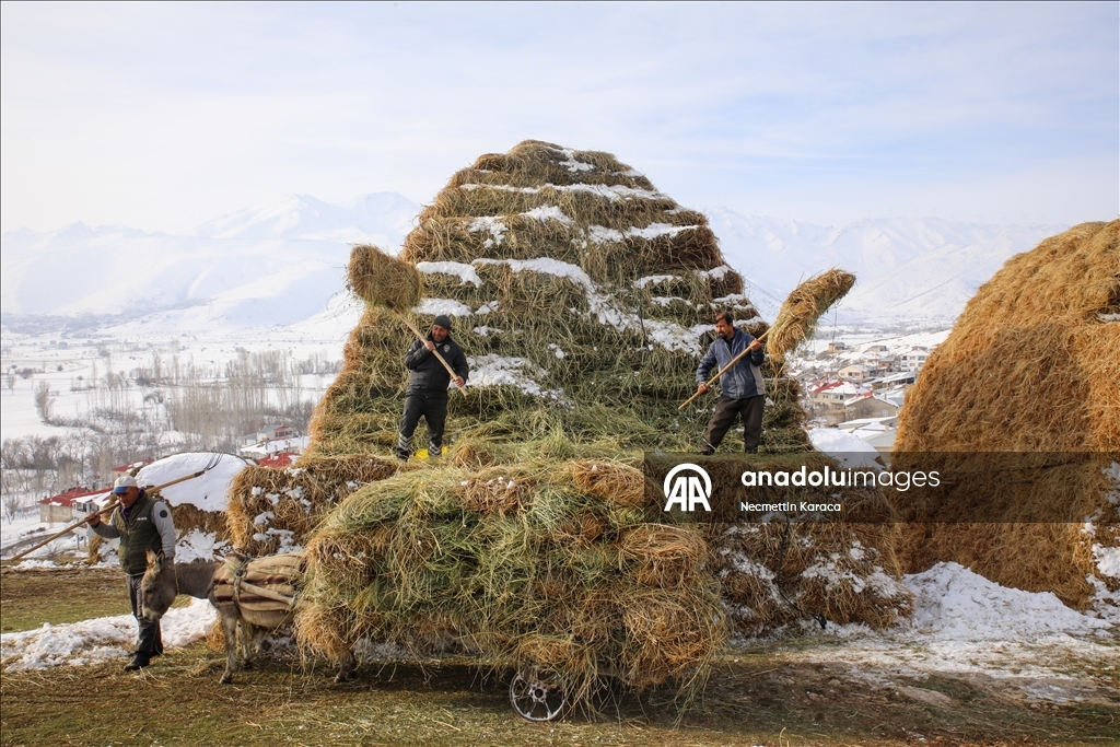 Li deverên gundewar yên ku ji berf û seqem li wan bi bandor e jiyan dijwar e
