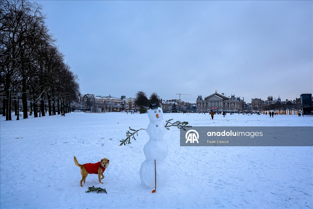 Сильный снегопад в Нидерландах парализовал транспортное сообщение