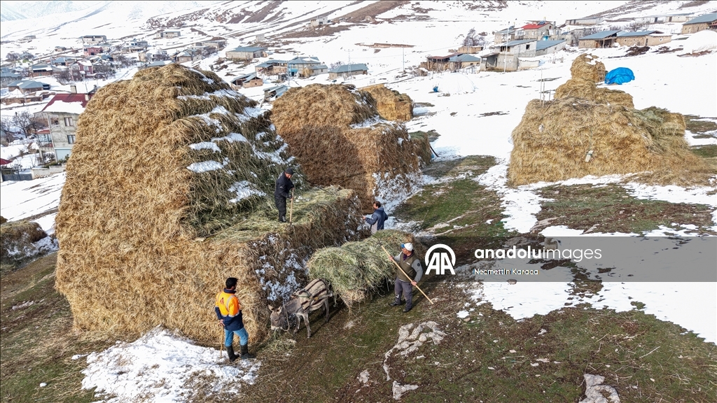 Li deverên gundewar yên ku ji berf û seqem li wan bi bandor e jiyan dijwar e