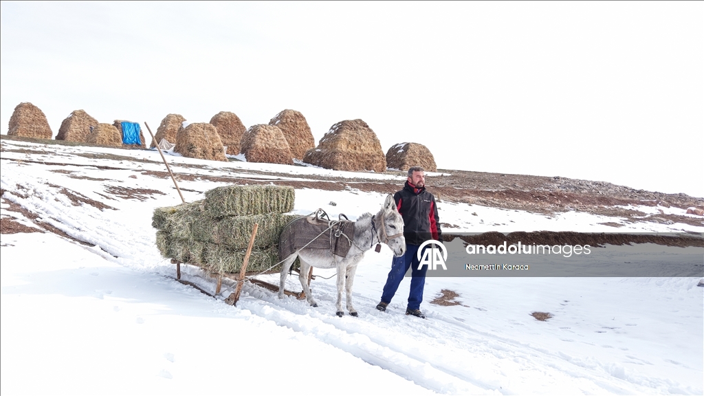 Li deverên gundewar yên ku ji berf û seqem li wan bi bandor e jiyan dijwar e