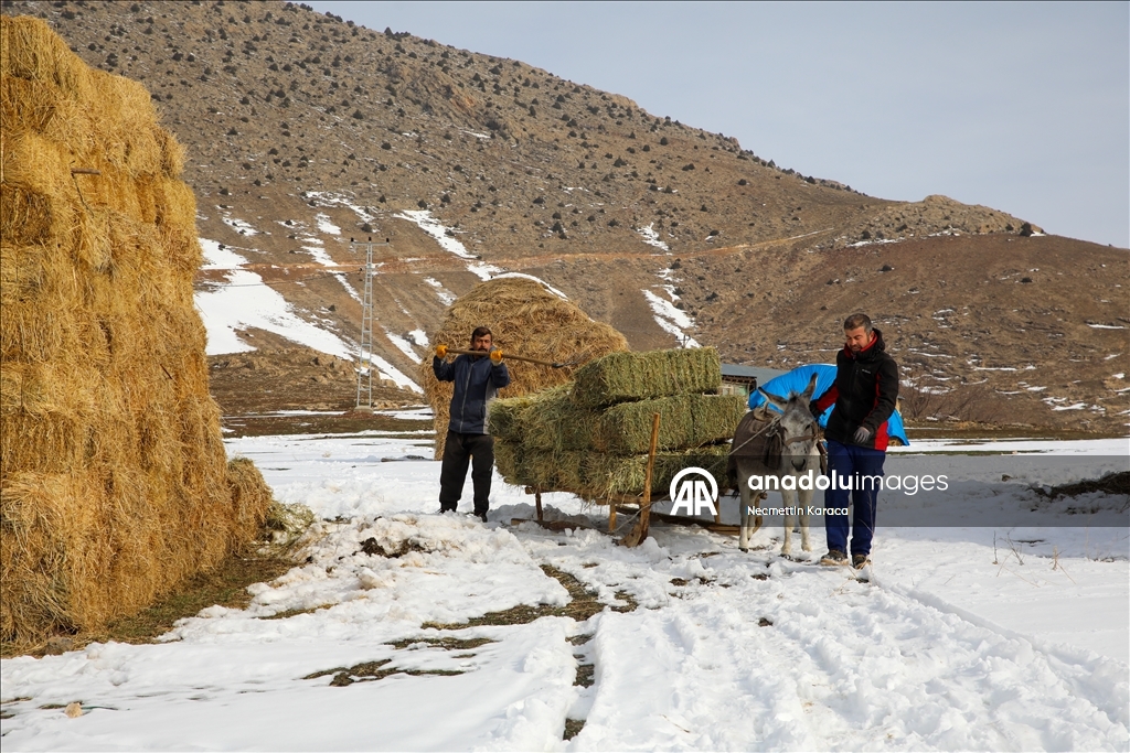 Li deverên gundewar yên ku ji berf û seqem li wan bi bandor e jiyan dijwar e