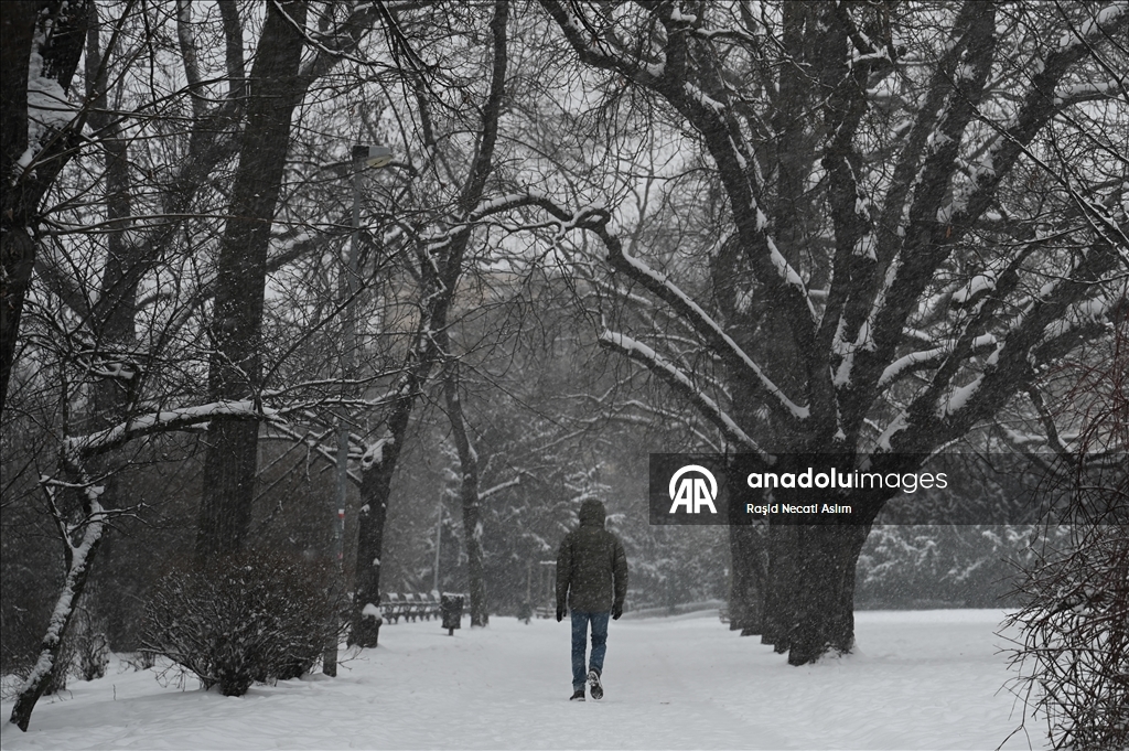 Obilne snježne padavine u češkoj prijestolnici Pragu