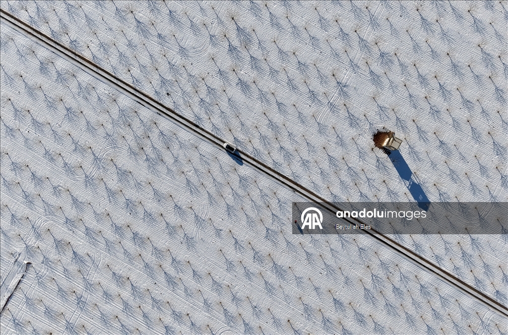 Gaziantep’teki Barak Ovası’nda fıstık bahçeleri karla kaplandı