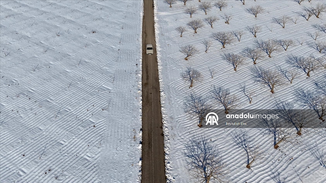 Gaziantep’teki Barak Ovası’nda fıstık bahçeleri karla kaplandı