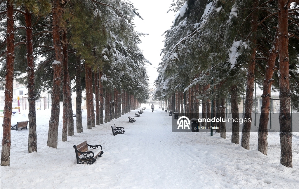 Muş'ta kar yağışı