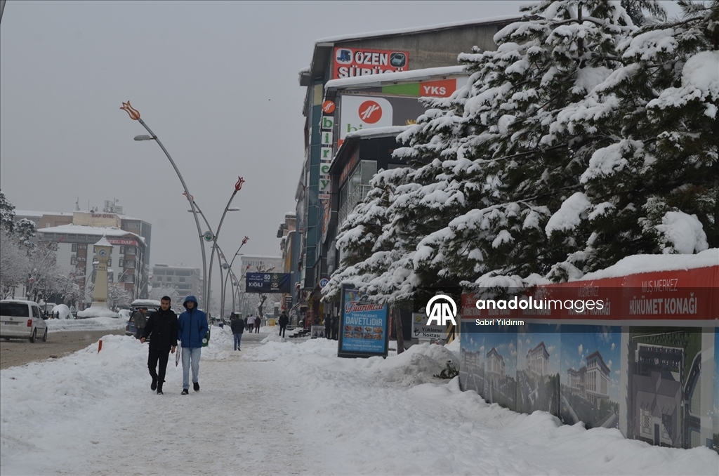 Muş'ta kar yağışı