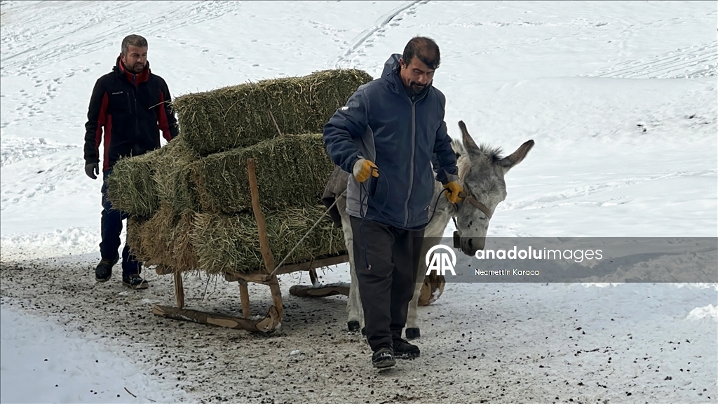 Li deverên gundewar yên ku ji berf û seqem li wan bi bandor e jiyan dijwar e