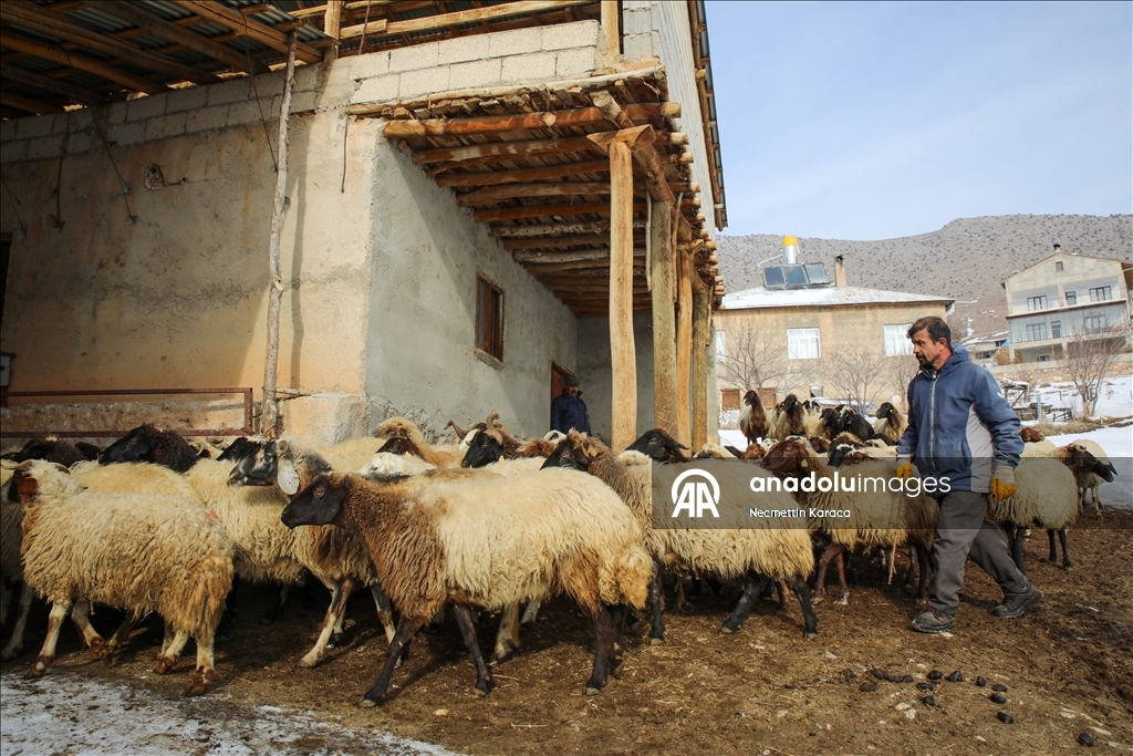 Li deverên gundewar yên ku ji berf û seqem li wan bi bandor e jiyan dijwar e