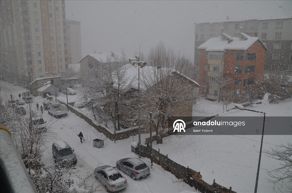 Muş'ta kar yağışı