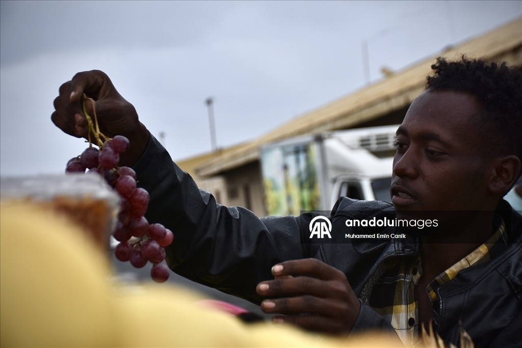 Port Sudan’da hayat tüm zorluklara rağmen sürüyor