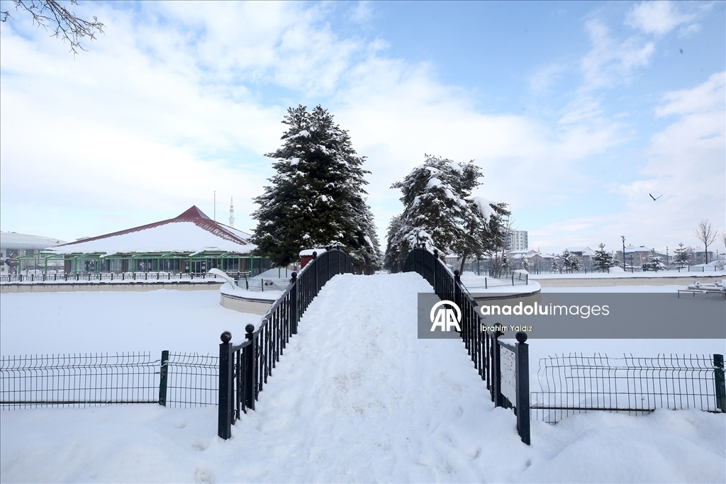 Muş'ta kar yağışı