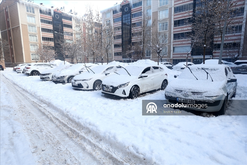 Muş'ta kar yağışı