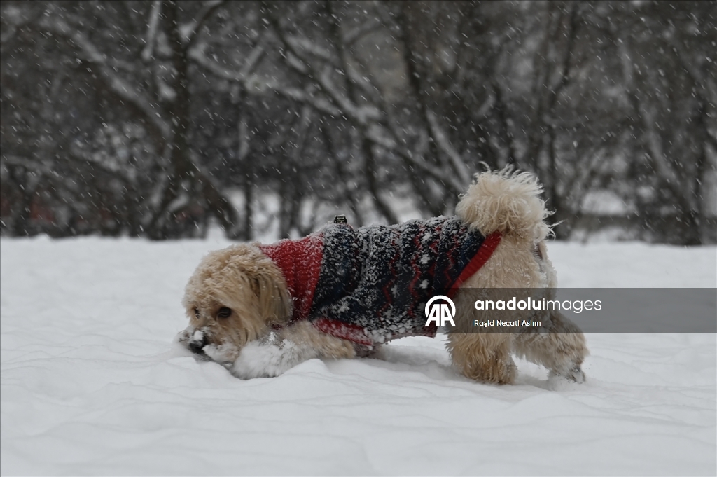 Prag’da kar yağışı etkili oldu