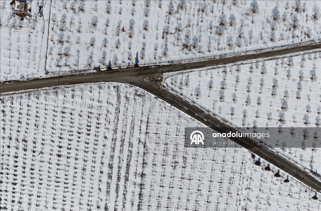 Gaziantep’teki Barak Ovası’nda fıstık bahçeleri karla kaplandı