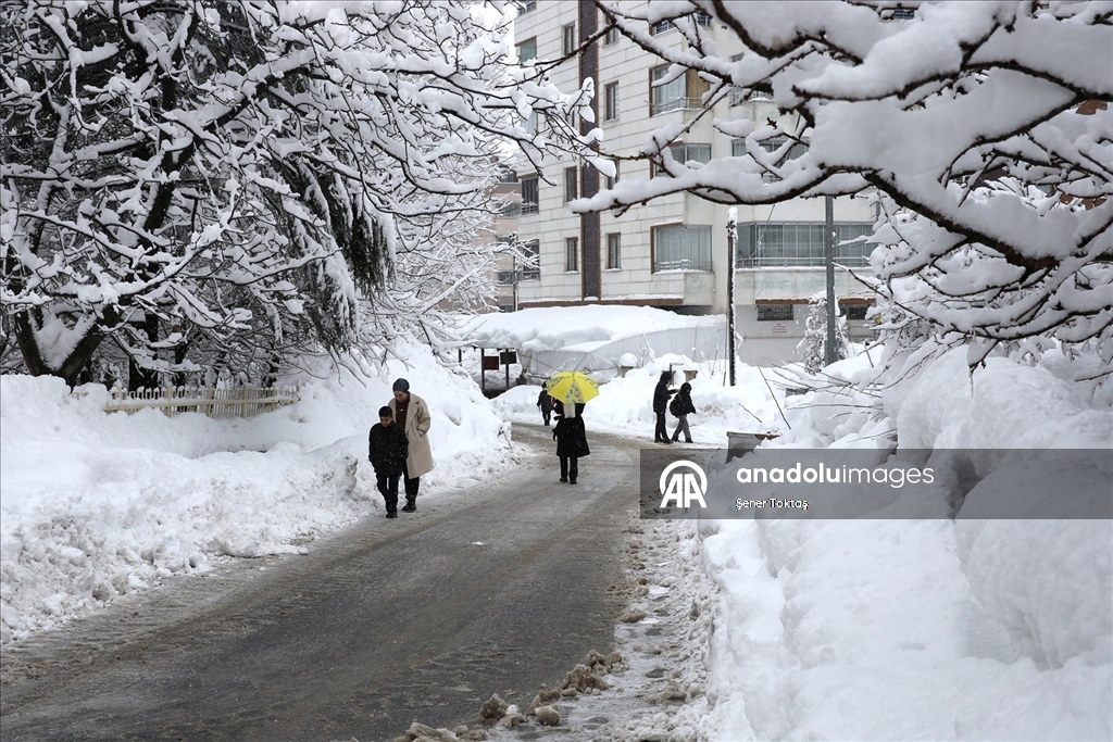Bitlis'te kar yağışı
