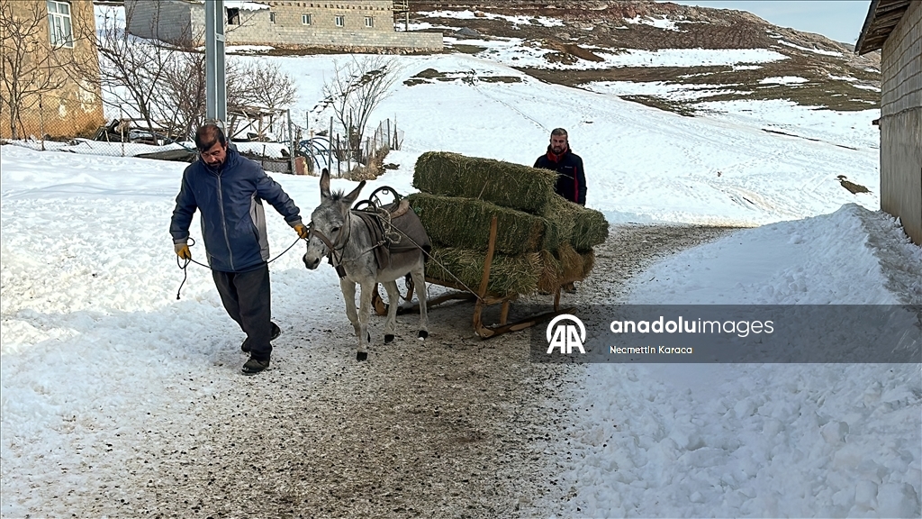 Li deverên gundewar yên ku ji berf û seqem li wan bi bandor e jiyan dijwar e