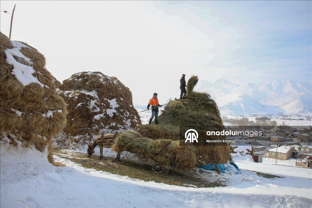 Li deverên gundewar yên ku ji berf û seqem li wan bi bandor e jiyan dijwar e