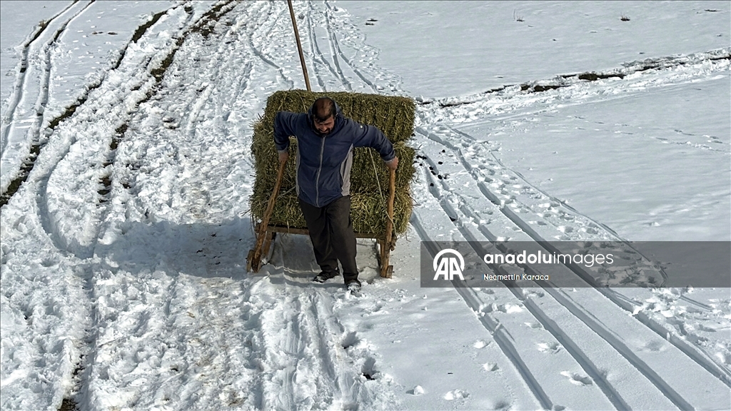 Li deverên gundewar yên ku ji berf û seqem li wan bi bandor e jiyan dijwar e