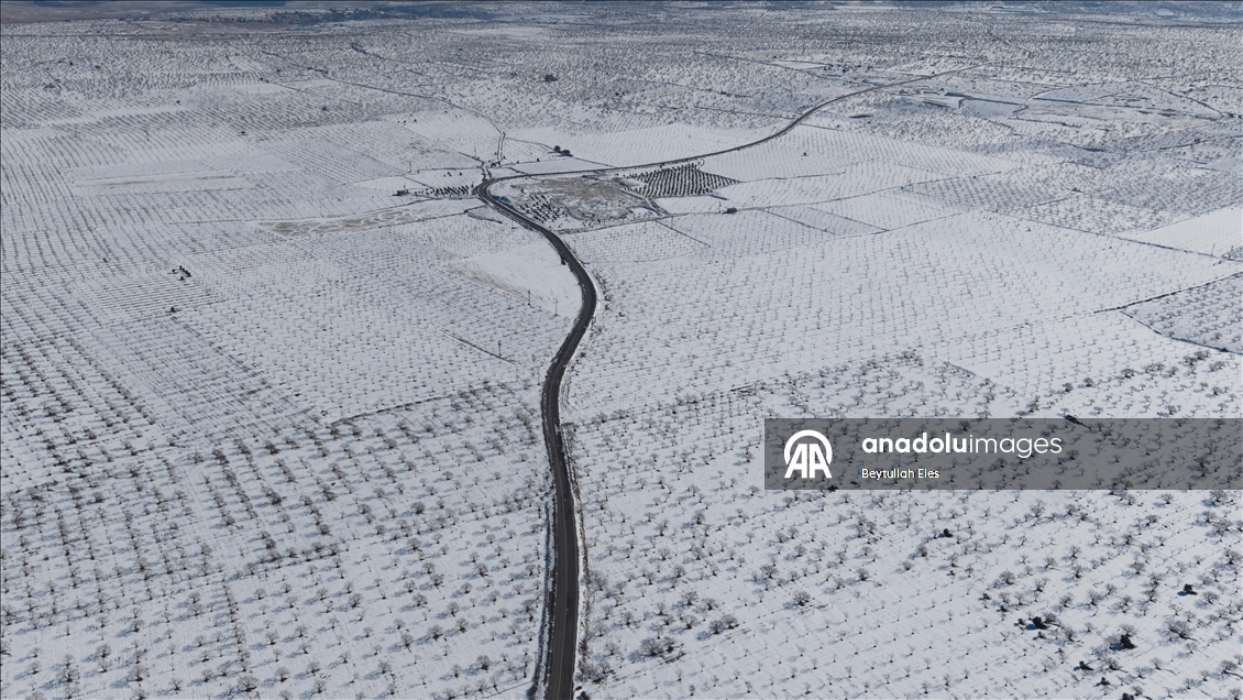 Gaziantep’teki Barak Ovası’nda fıstık bahçeleri karla kaplandı