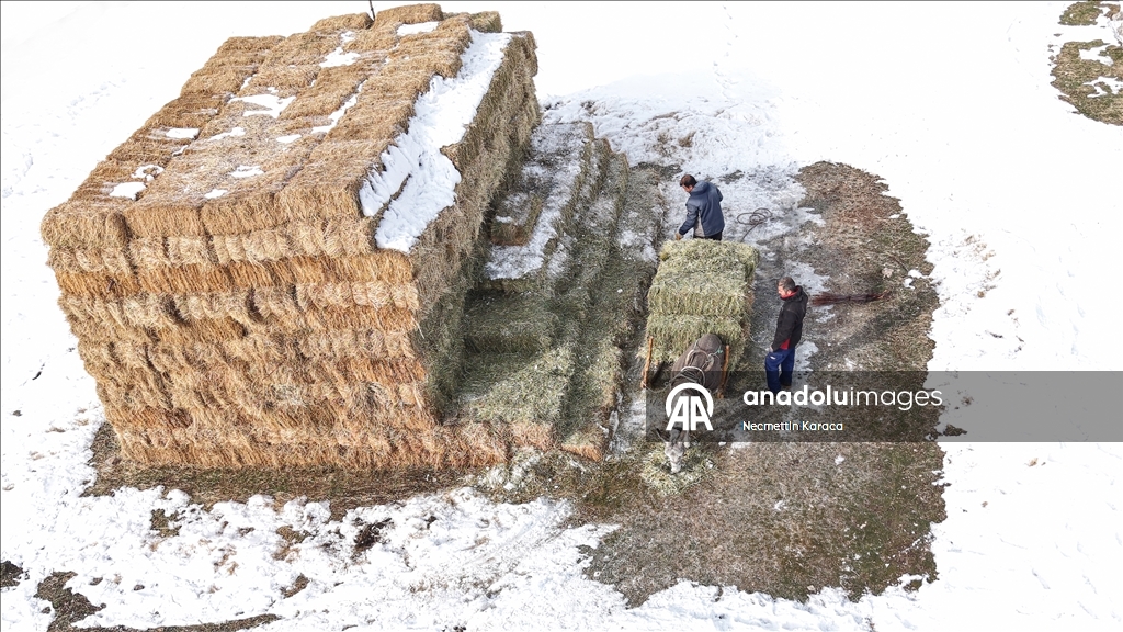 Li deverên gundewar yên ku ji berf û seqem li wan bi bandor e jiyan dijwar e