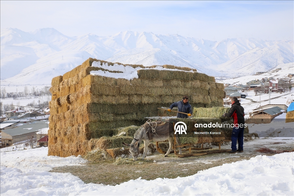 Li deverên gundewar yên ku ji berf û seqem li wan bi bandor e jiyan dijwar e