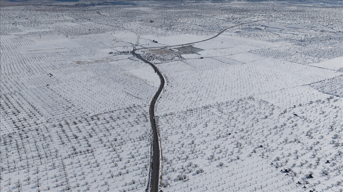 Gaziantep’teki Barak Ovası’nda fıstık bahçeleri karla kaplandı