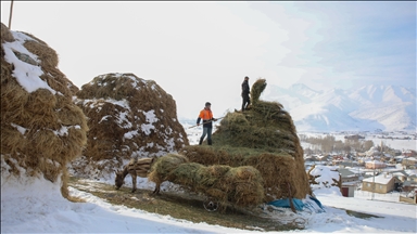 Kar ve soğuk havanın etkisi altındaki kırsalda zorlu yaşam