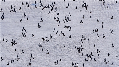 Erciyes'te hafta sonu yoğunluğu yaşanıyor