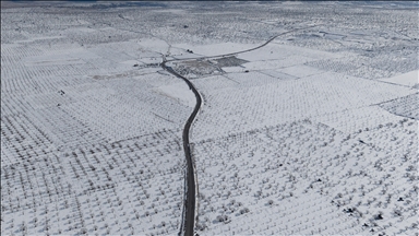 Gaziantep’teki Barak Ovası’nda fıstık bahçeleri karla kaplandı