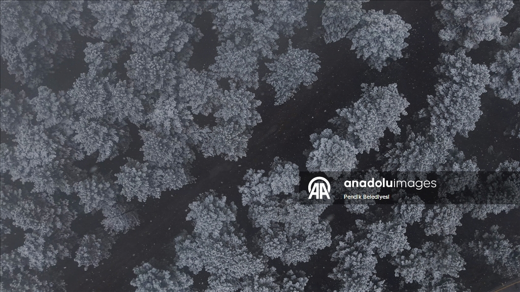 İstanbul'un bazı bölgelerinde kar yağışı etkili oluyor