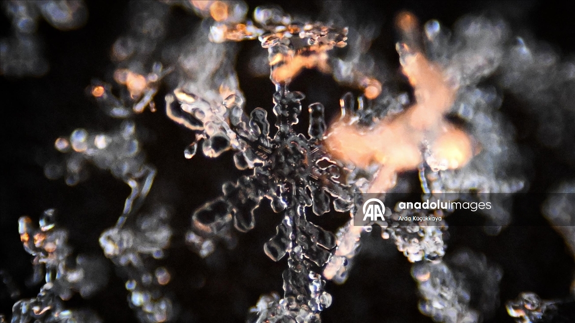 Kar tanelerinin kristal yapıları